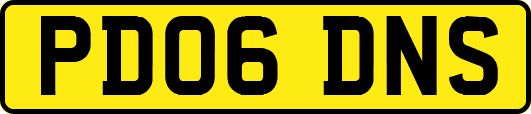 PD06DNS