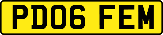 PD06FEM