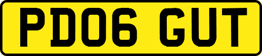 PD06GUT