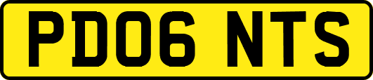PD06NTS
