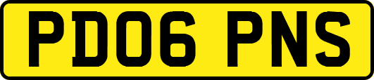 PD06PNS