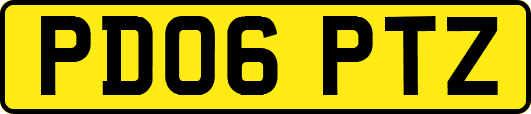 PD06PTZ