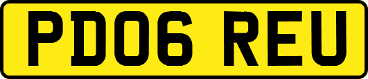 PD06REU