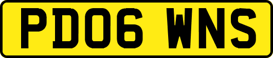 PD06WNS