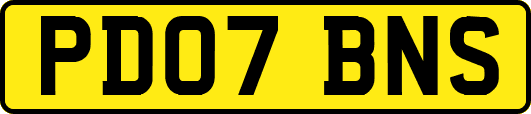 PD07BNS