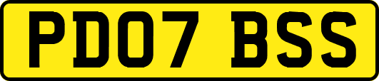 PD07BSS
