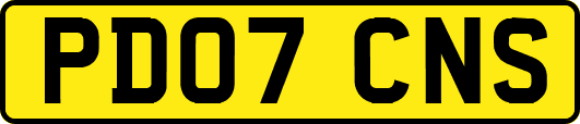 PD07CNS