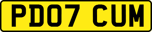 PD07CUM