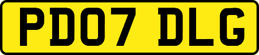 PD07DLG