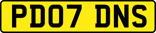 PD07DNS