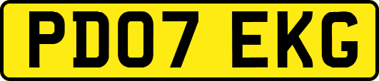 PD07EKG
