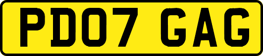 PD07GAG