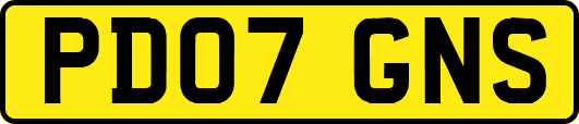 PD07GNS
