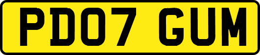 PD07GUM