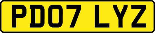PD07LYZ
