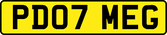 PD07MEG