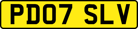 PD07SLV