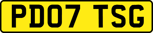 PD07TSG