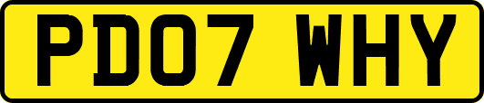 PD07WHY
