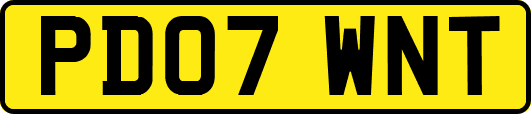PD07WNT