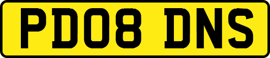 PD08DNS