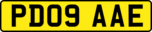 PD09AAE