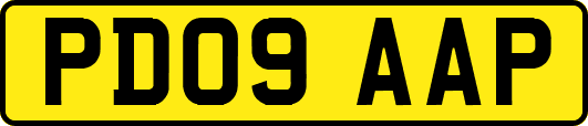 PD09AAP