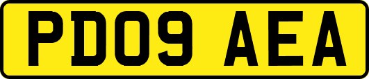 PD09AEA