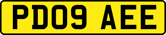 PD09AEE