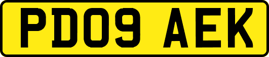 PD09AEK