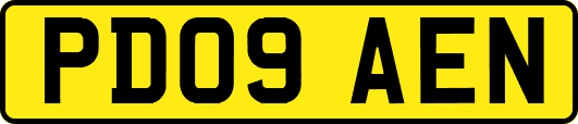 PD09AEN
