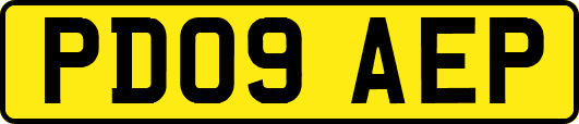 PD09AEP