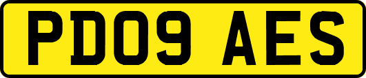 PD09AES
