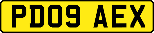 PD09AEX