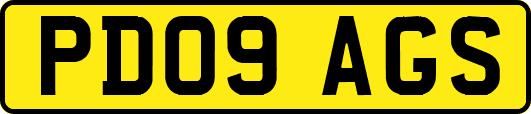 PD09AGS