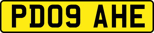 PD09AHE