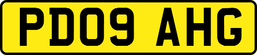 PD09AHG