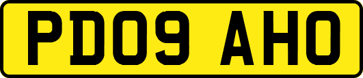 PD09AHO