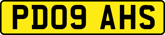 PD09AHS