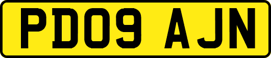 PD09AJN