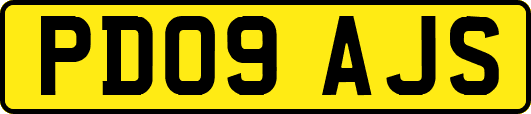 PD09AJS