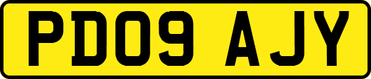 PD09AJY