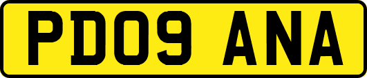 PD09ANA