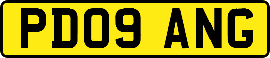 PD09ANG
