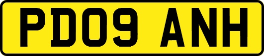 PD09ANH