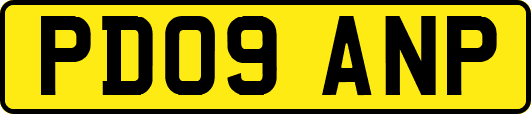 PD09ANP