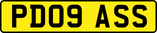 PD09ASS