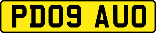 PD09AUO
