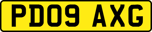 PD09AXG