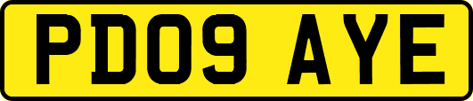 PD09AYE